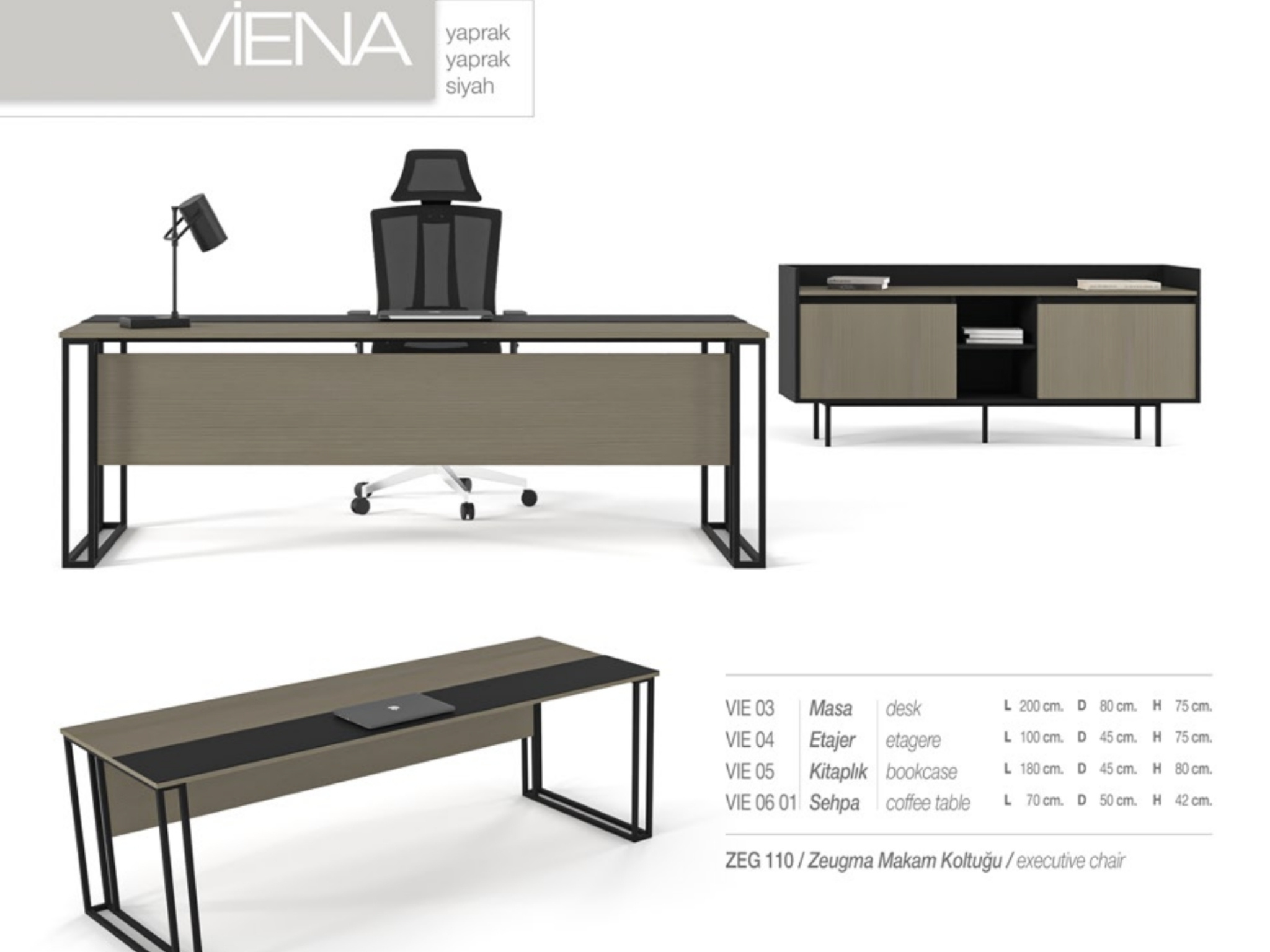 Viena Plus ve Viena Takımı